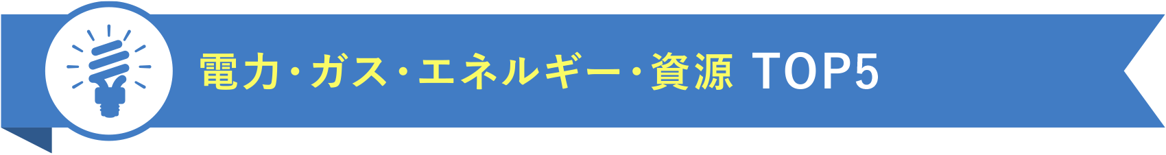 電力・ガス・エネルギー・資源 TOP5